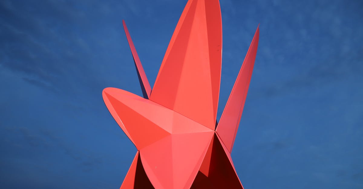 Capturing the Essence of Gold Coast Tattoo Craftsmanship