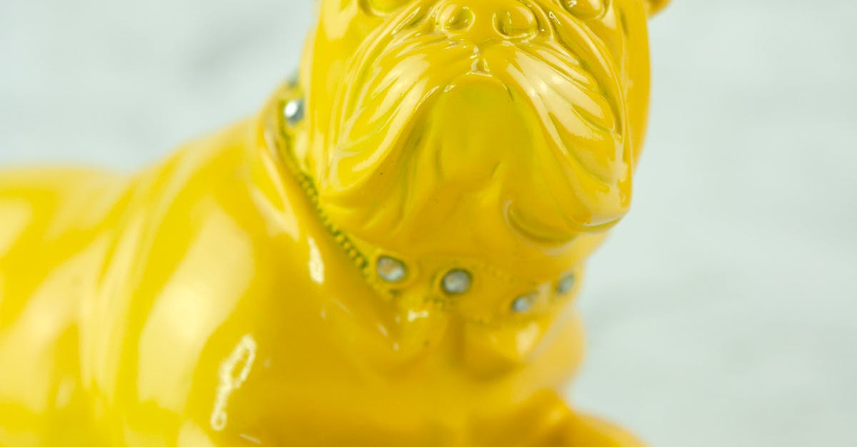 Common Themes in Gold Coast Traditional Tattoo Art