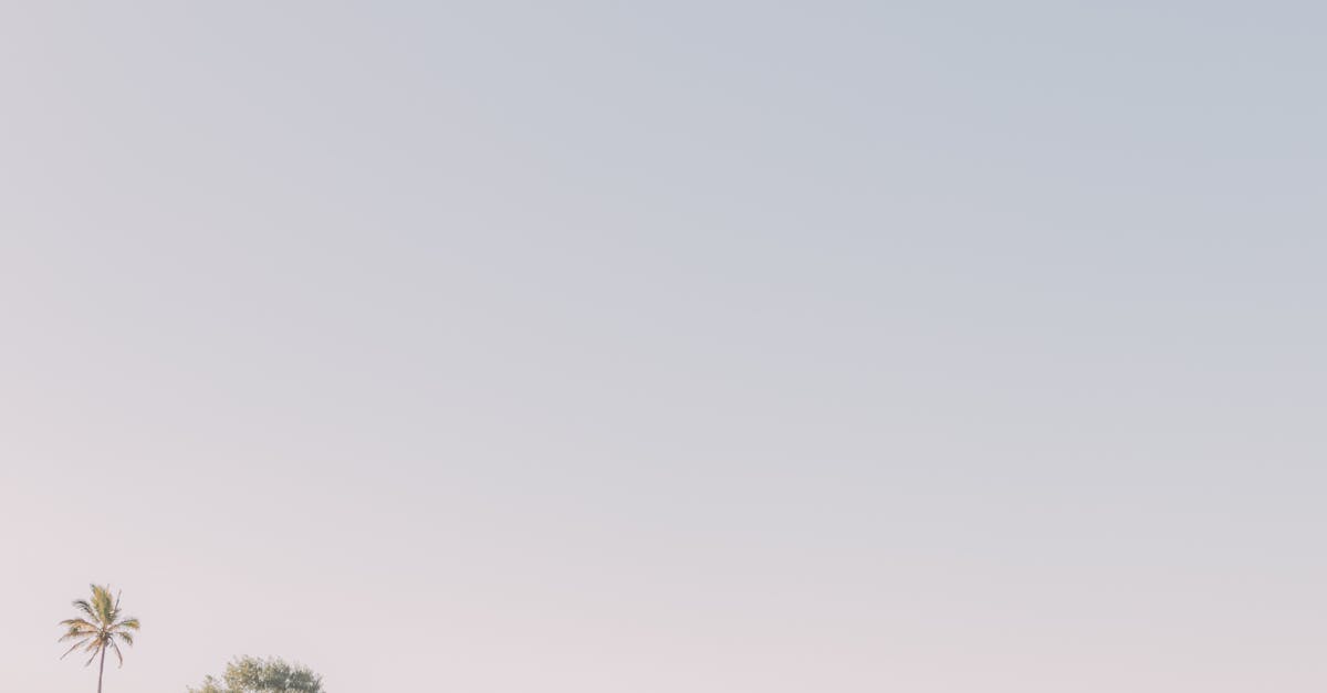 Famous Geometric Tattoo Artists to Watch on the Gold Coast