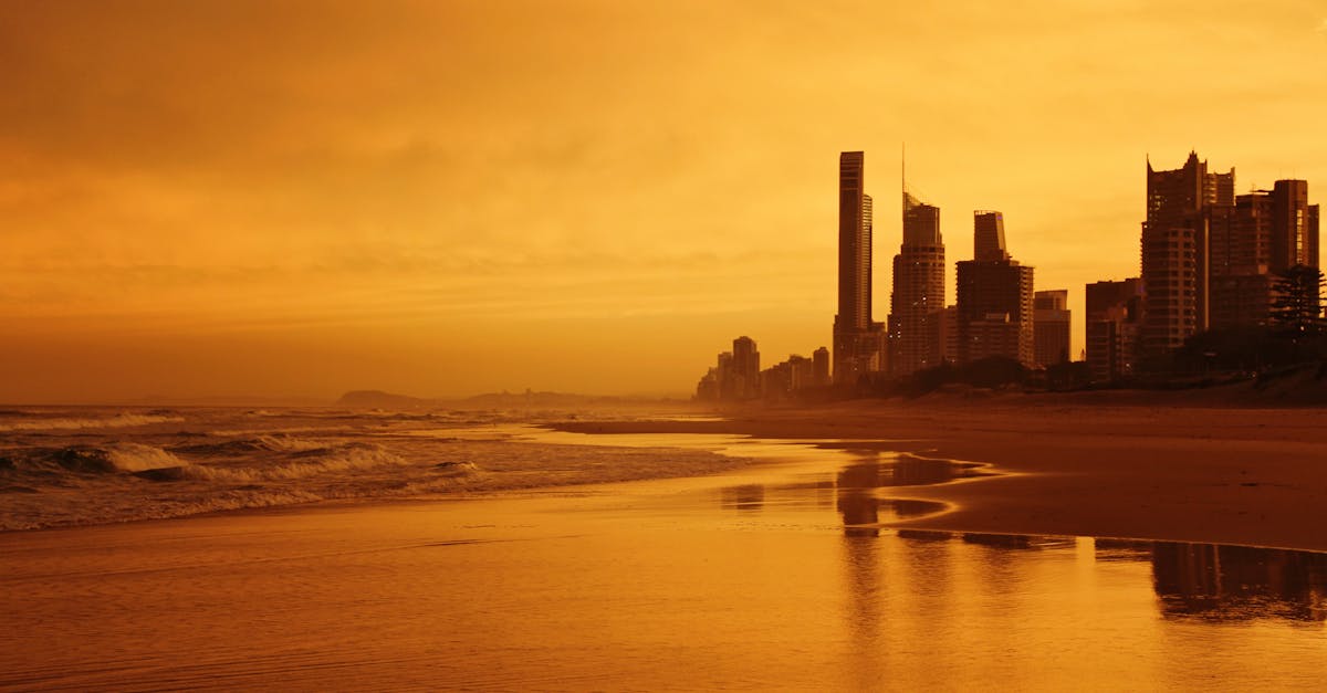 Innovative Tattoo Concepts from Gold Coast Artists