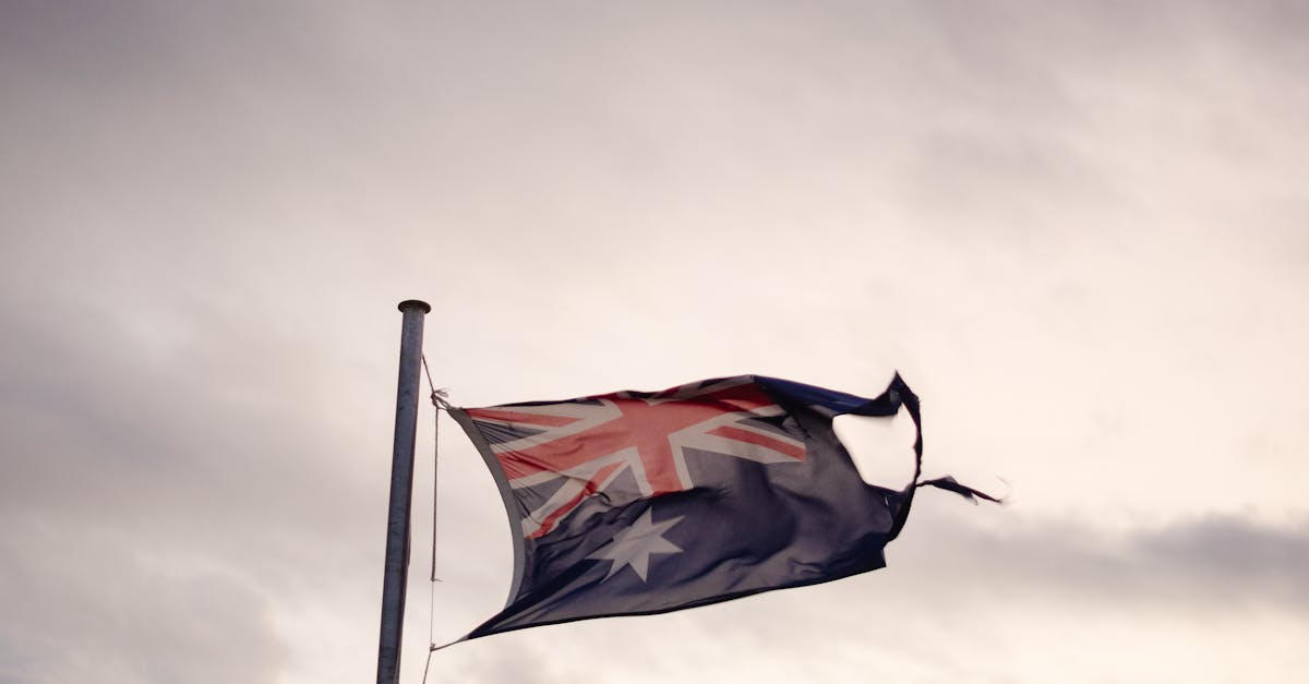 Innovative Techniques from Local Gold Coast Tattooists